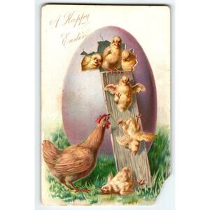 Easter Postcard Baby Chicks Sliding Down Board Large Purple Egg Rooster Tuck
